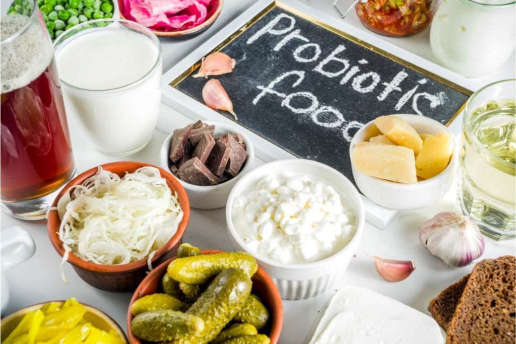 alimentos probioticos dieta equilibrada