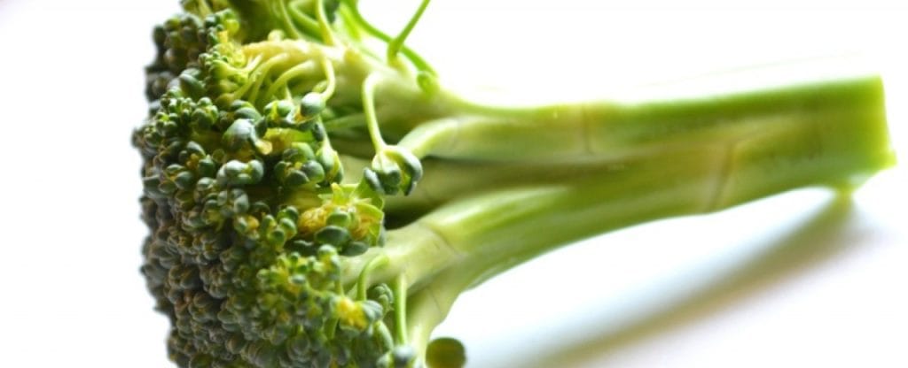 ¿Por qué el brócoli es saludable?