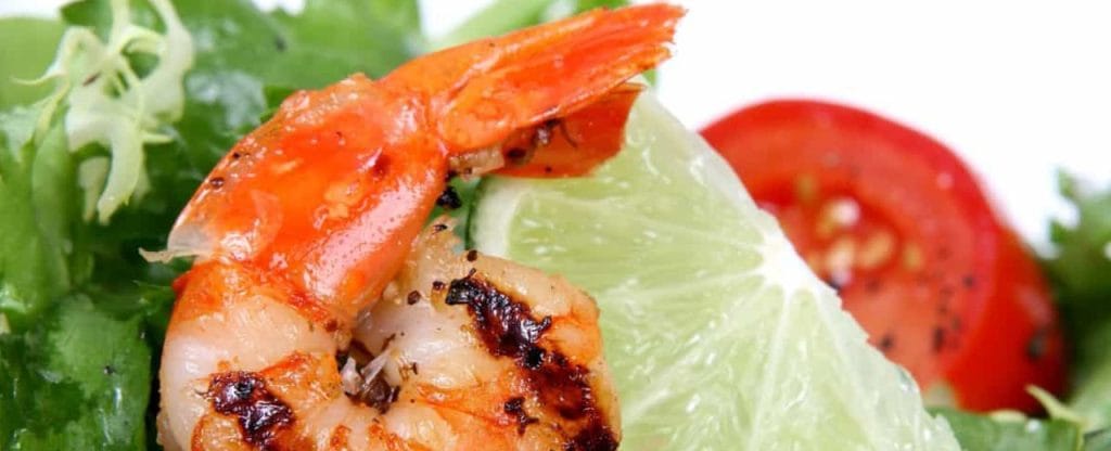 Entrevista Doctor Antonio Escribano: Alimentación para la actividad cerebral