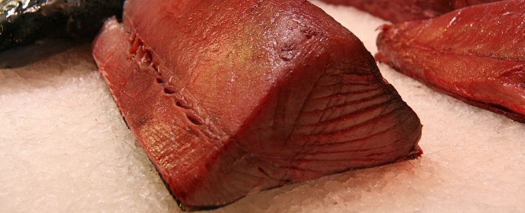 Propiedades y Beneficios del Atún Rojo de Almadraba en “Salud al Día”. Dr. Antonio Escribano