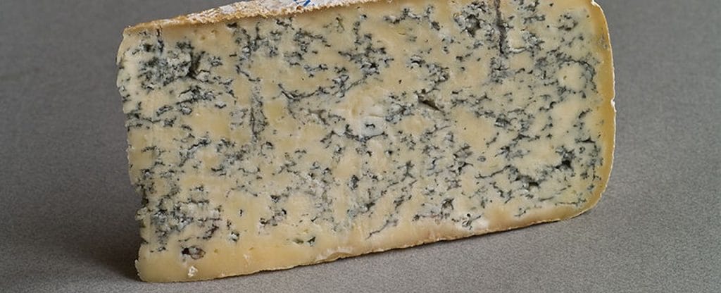 alimentos adictivos y perjudiciales para la salud doctor escribano