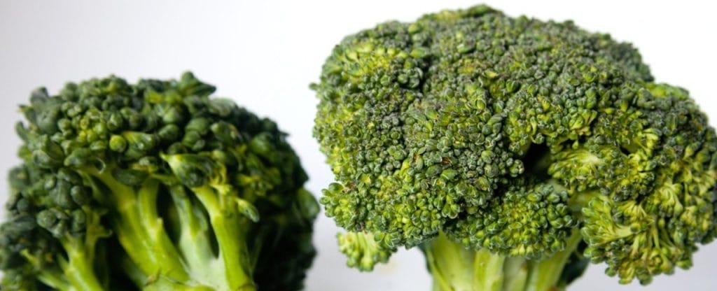 Comer Brócoli Sin Complejos