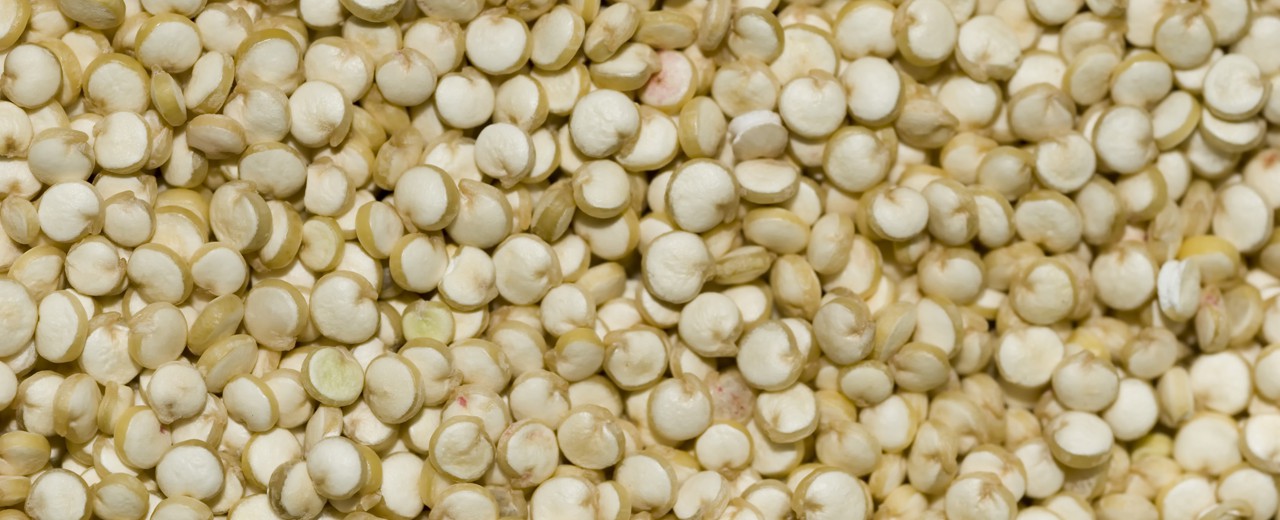 ¿Por qué se habla tanto de la quinoa?