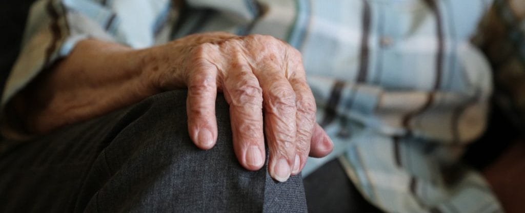 ¿Qué es mejor? ¿Triturar los platos o texturizarlos?