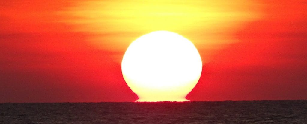 Vitamina D. Un arma eficaz contra la COVID-19