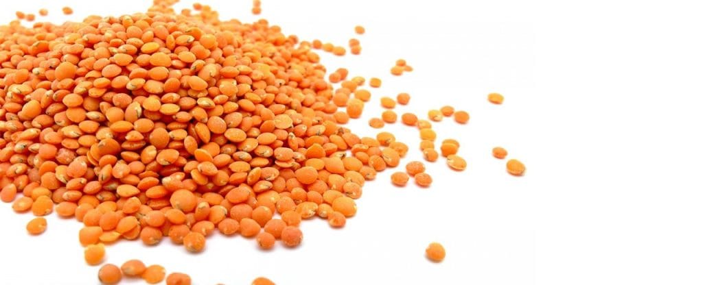 ¿Qué beneficios aportan las legumbres a nuestra salud?