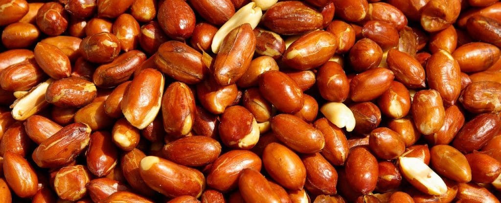 Los Frutos Secos y su Papel en la Dieta Keto: Una Combinación Saludable y Nutritiva