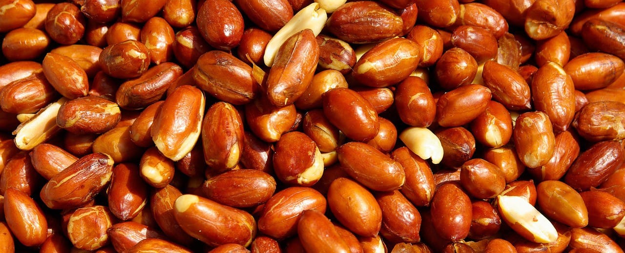 Los Frutos Secos y su Papel en la Dieta Keto: Una Combinación Saludable y Nutritiva