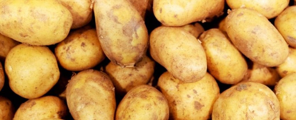 ¡Descubre los sorprendentes beneficios de la patata y cuál es la forma más saludable de consumirla!