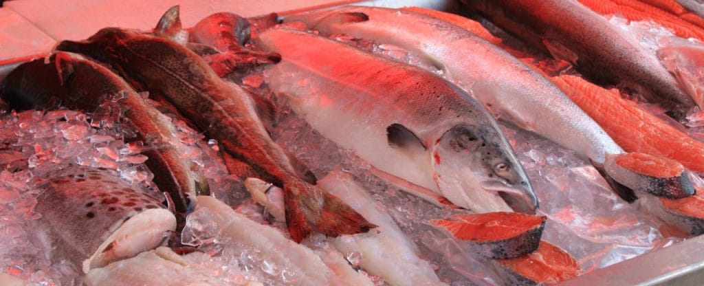 comer pescado dieta equilibrada