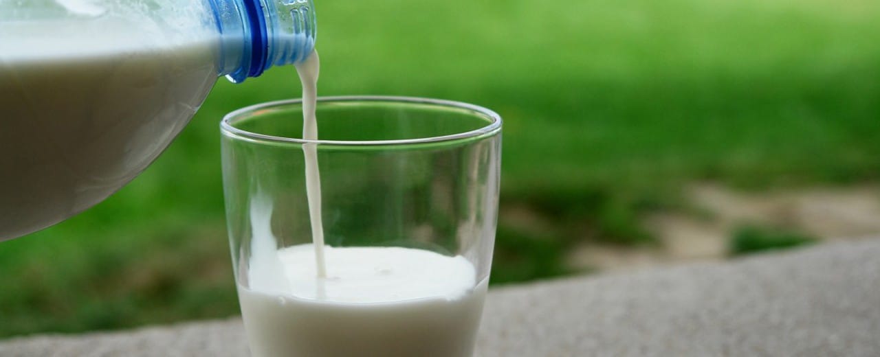 verdades y mentiras sobre la leche
