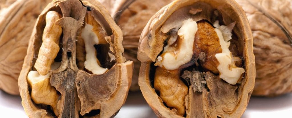 Dieta Montignac: control de la glucosa en sangre y las grasas saturadas