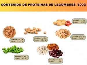contenido-proteinas-legumbres