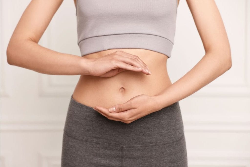 metabolismo del cuerpo, porque engordamos