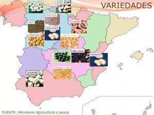 variedades-de-legumbres-españa